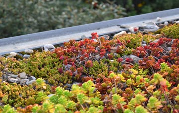 the cost of Cefn Coch green roof installation
