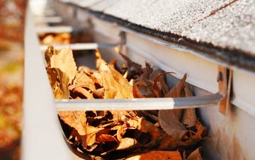 Cefn Coch gutter cleaning companies