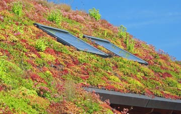 Cefn Coch living roof systems
